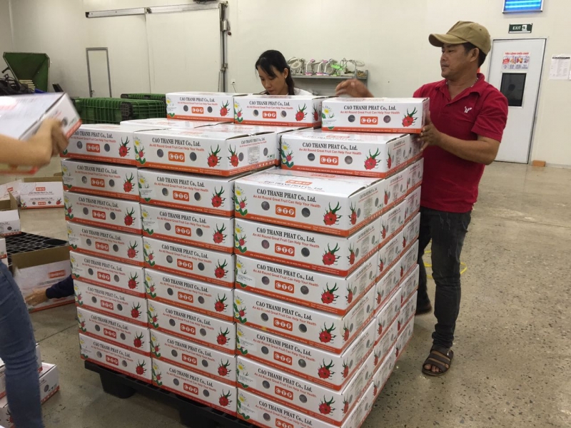 Freshfruitvietnam’s Dragon Fruit shipped to Australia