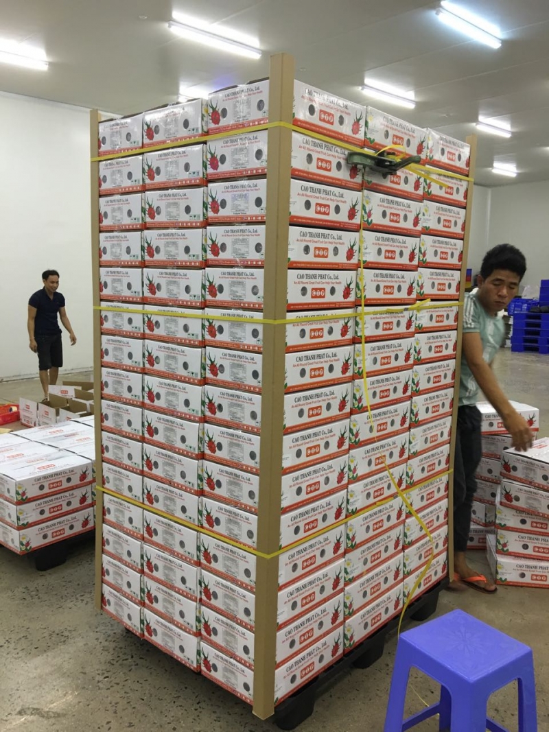 Freshfruitvietnam’s Dragon Fruit shipped to Australia